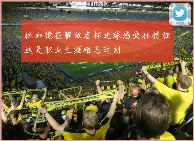 林加德在解放者杯进球感受独特称这是职业生涯难忘时刻