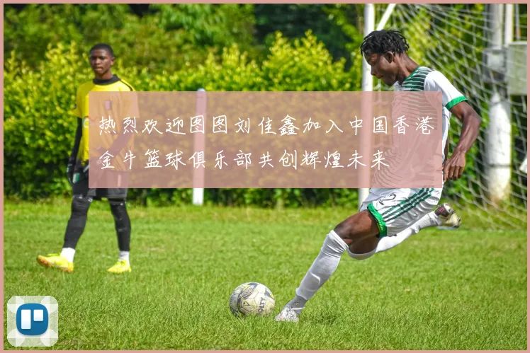 热烈欢迎图图刘佳鑫加入中国香港金牛篮球俱乐部共创辉煌未来