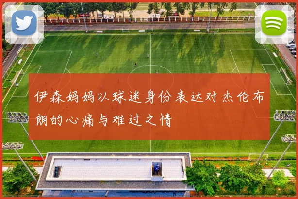 伊森妈妈以球迷身份表达对杰伦布朗的心痛与难过之情
