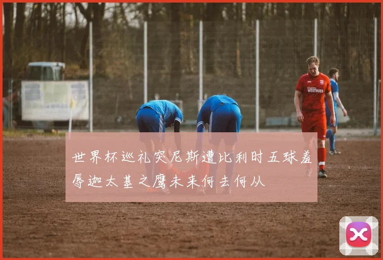 世界杯巡礼突尼斯遭比利时五球羞辱迦太基之鹰未来何去何从
