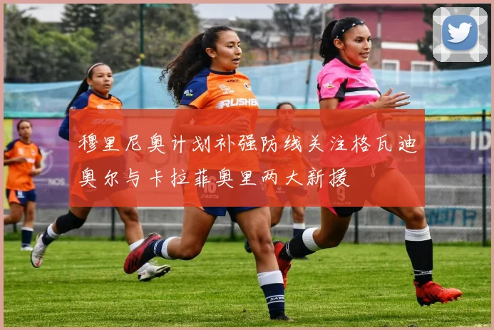 穆里尼奥计划补强防线关注格瓦迪奥尔与卡拉菲奥里两大新援